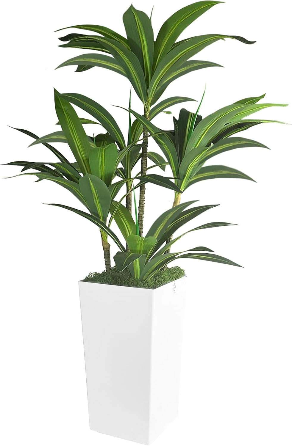 Artificial Dracaena Tree 5FT with Black Tall Planter and Fake Green Moss,(Real Touch) Artificial Plants Indoor,Fake Tree for Home Office Decor,Housewarming(Black)