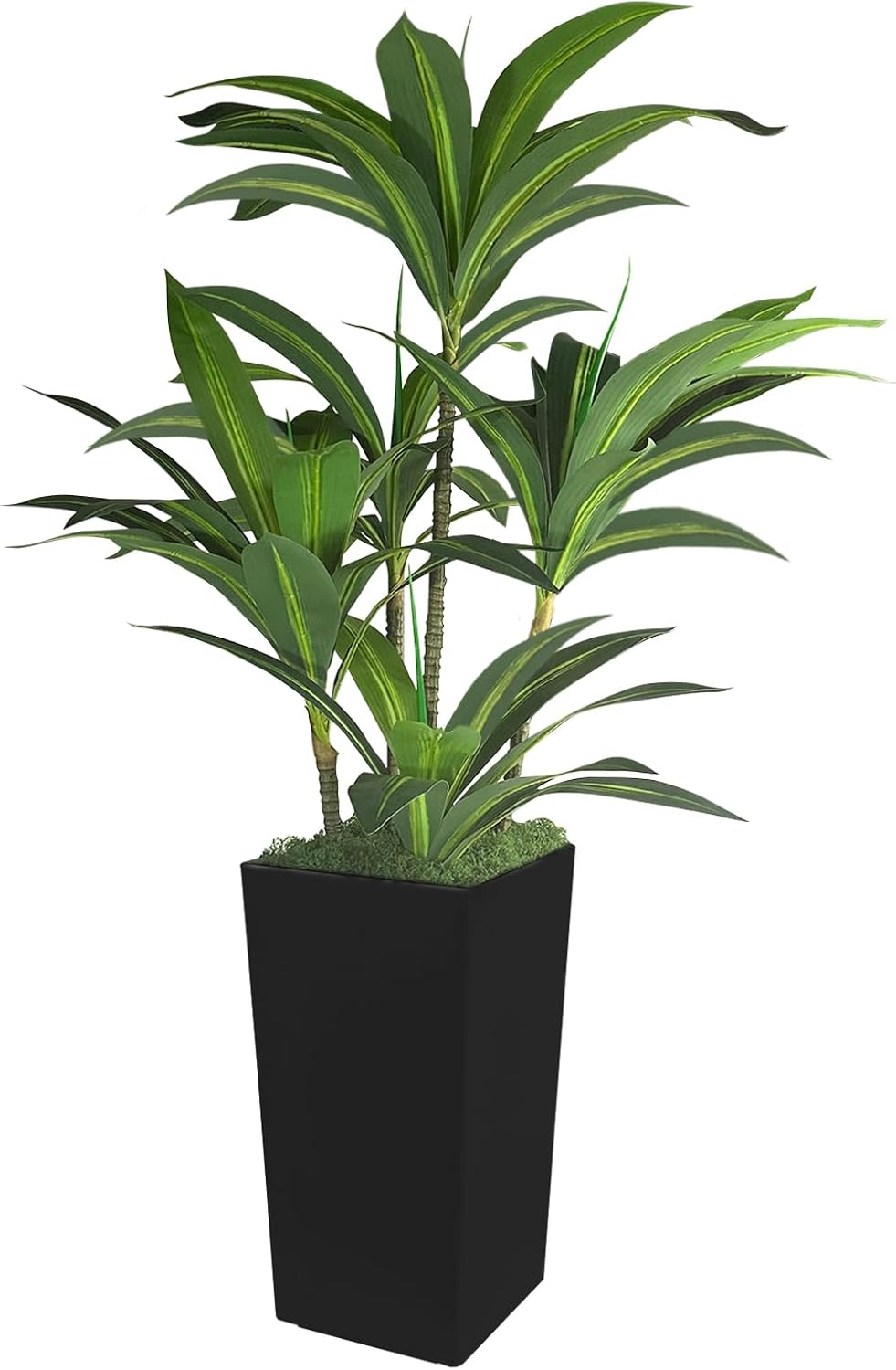Artificial Dracaena Tree 5FT with Black Tall Planter and Fake Green Moss,(Real Touch) Artificial Plants Indoor,Fake Tree for Home Office Decor,Housewarming(Black)