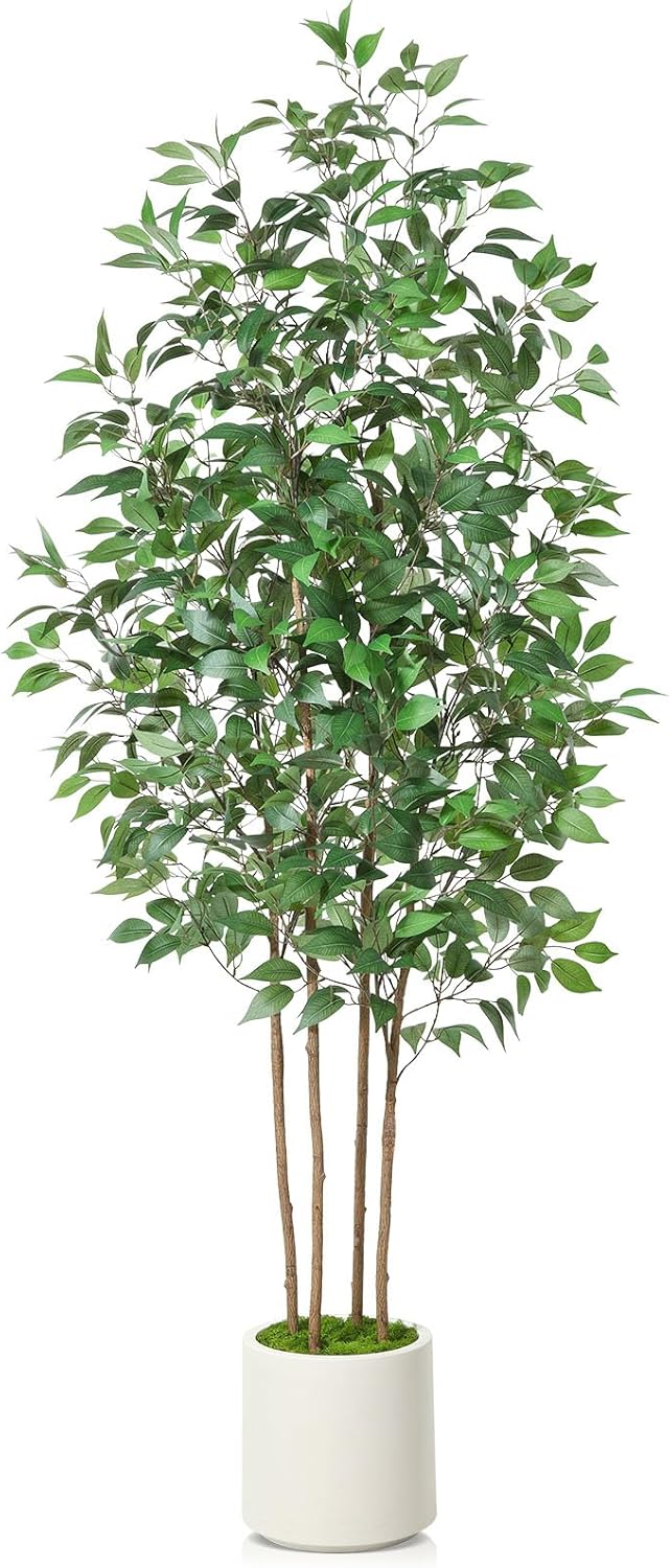 Ficus Artificial Tree 5ft Tall Fake Ficus Tree for Home Decor Indoor Faux Silk Ficus Plant Fake Floor Plant in White Imitation Ceramic Planter with Green Fake Moss, Set of 1