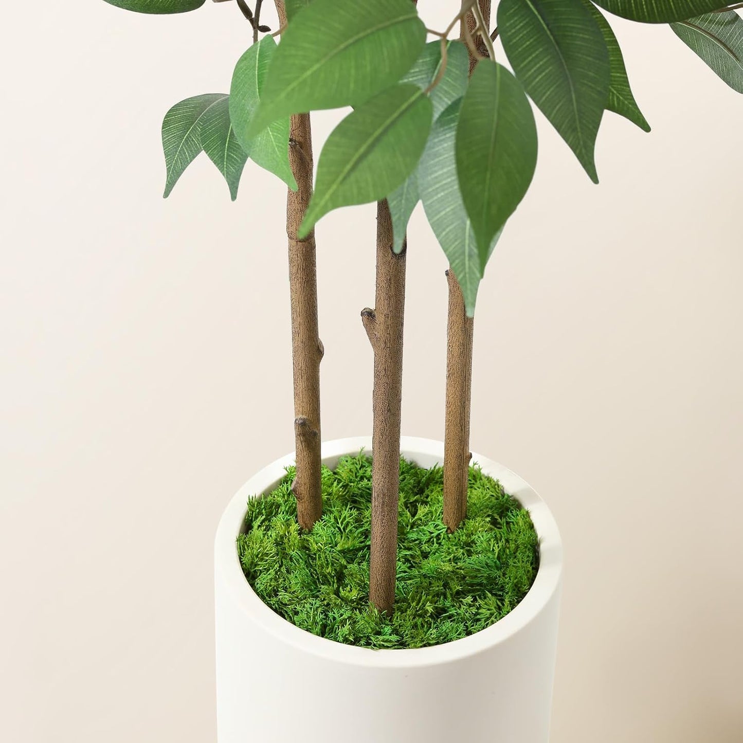 Ficus Artificial Tree 5ft Tall Fake Ficus Tree for Home Decor Indoor Faux Silk Ficus Plant Fake Floor Plant in White Imitation Ceramic Planter with Green Fake Moss, Set of 1